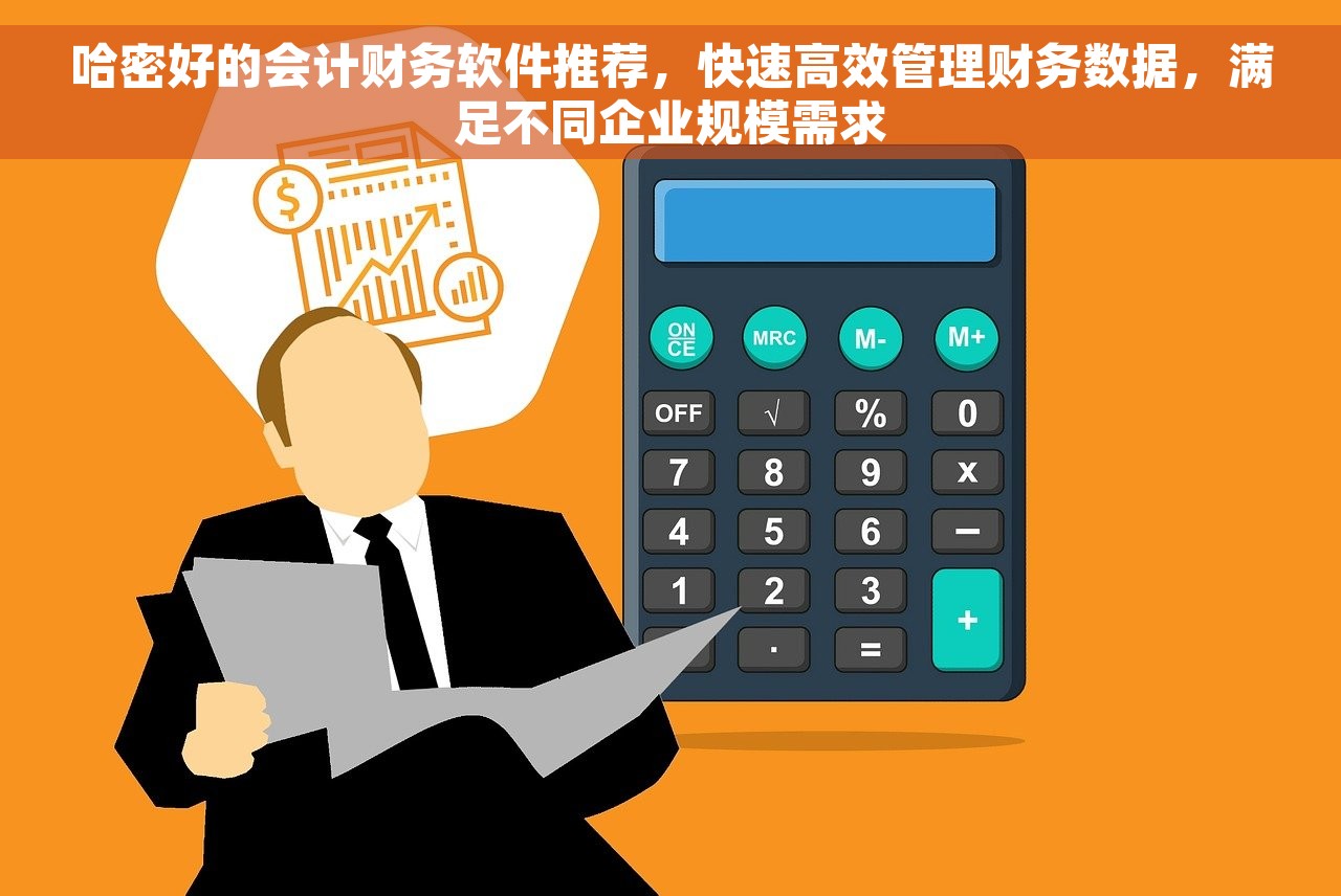 哈密好的会计财务软件推荐，快速高效管理财务数据，满足不同企业规模需求