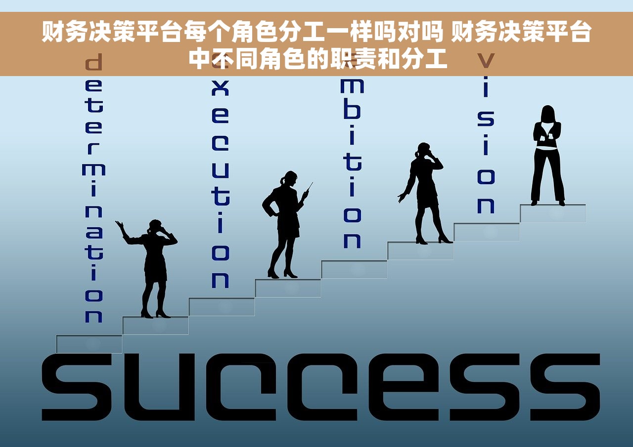财务决策平台每个角色分工一样吗对吗 财务决策平台中不同角色的职责和分工