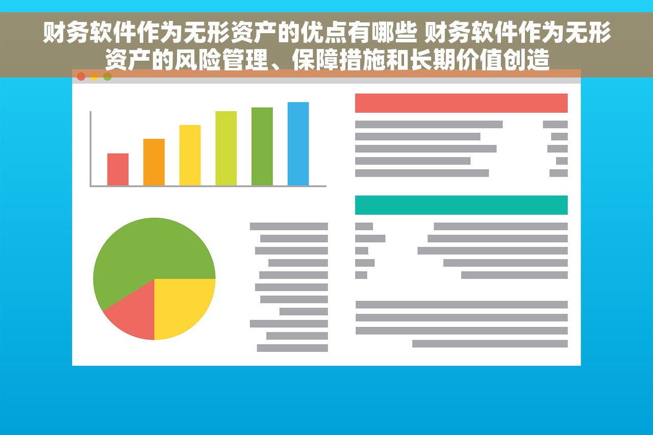 财务软件作为无形资产的优点有哪些 财务软件作为无形资产的风险管理、保障措施和长期价值创造