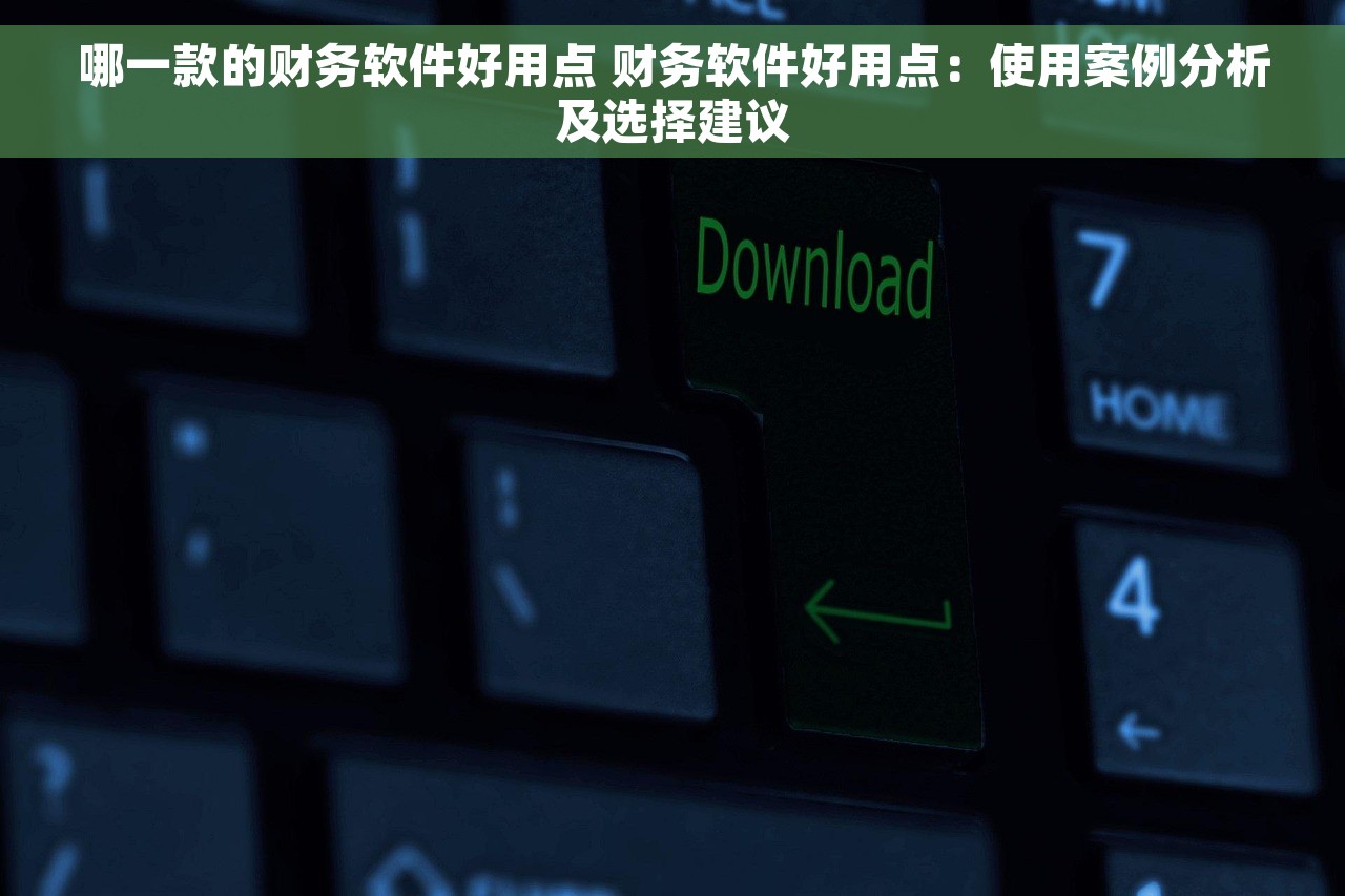 哪一款的财务软件好用点 财务软件好用点：使用案例分析及选择建议
