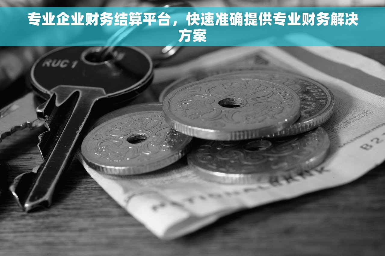专业企业财务结算平台，快速准确提供专业财务解决方案