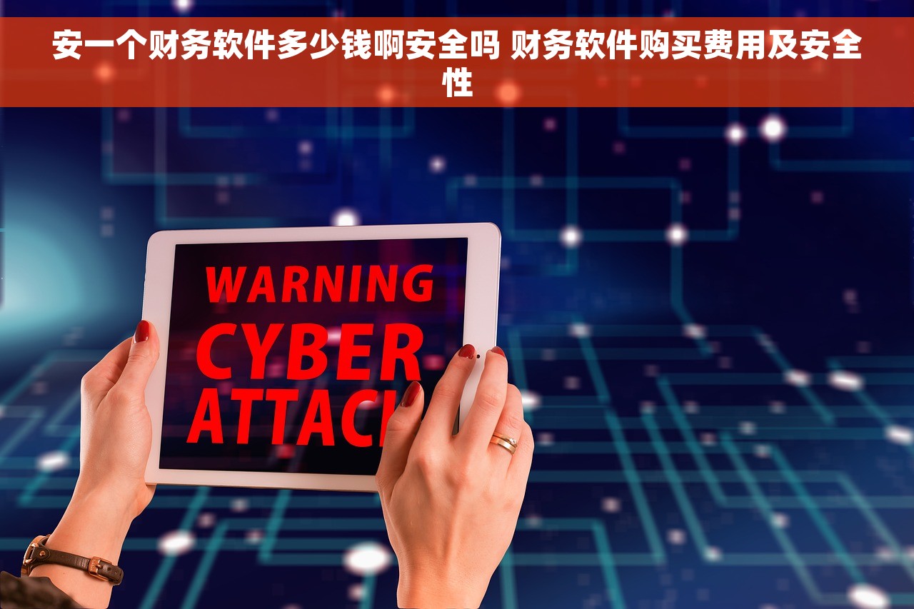 安一个财务软件多少钱啊安全吗 财务软件购买费用及安全性