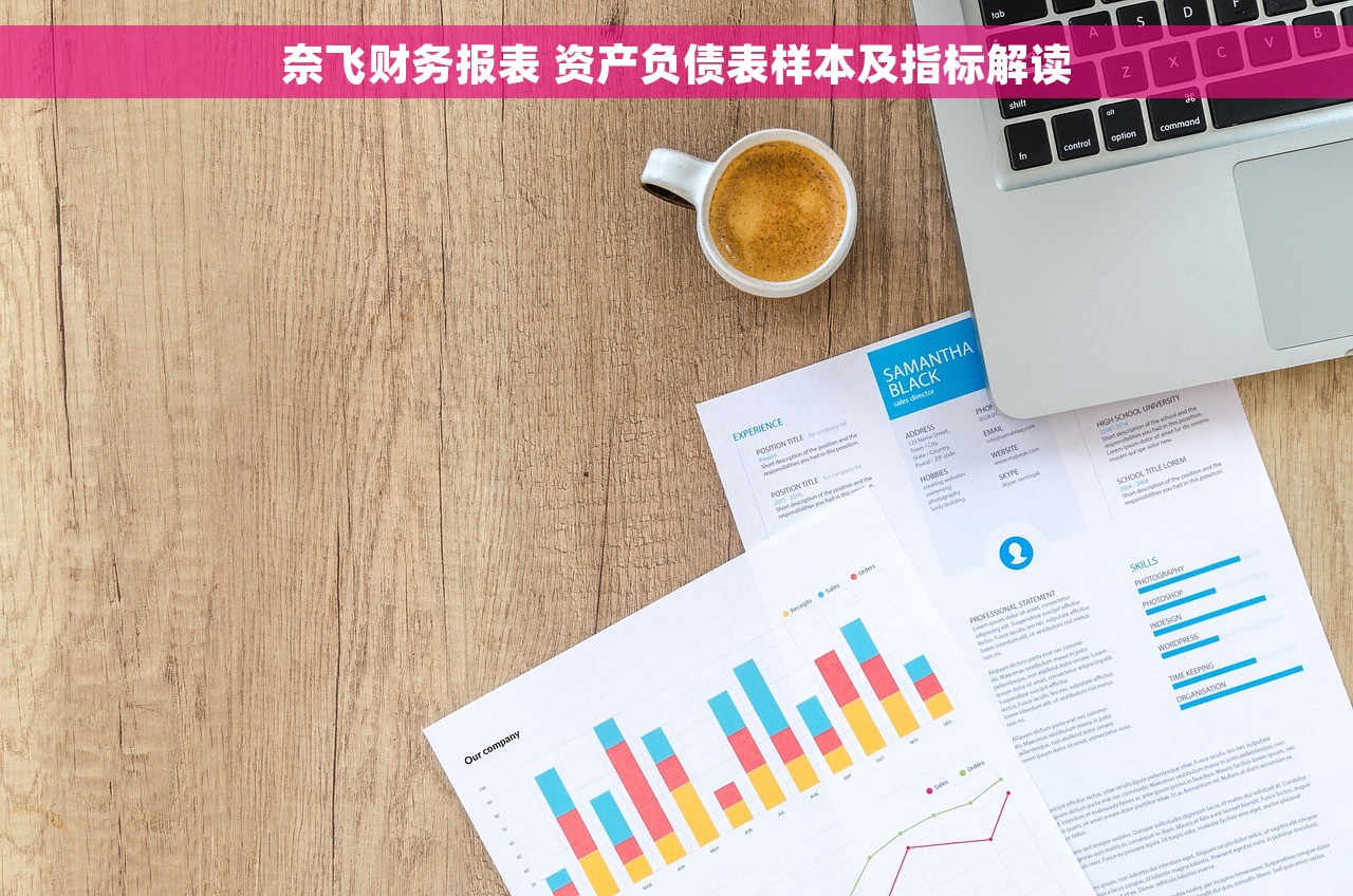 奈飞财务报表 资产负债表样本及指标解读