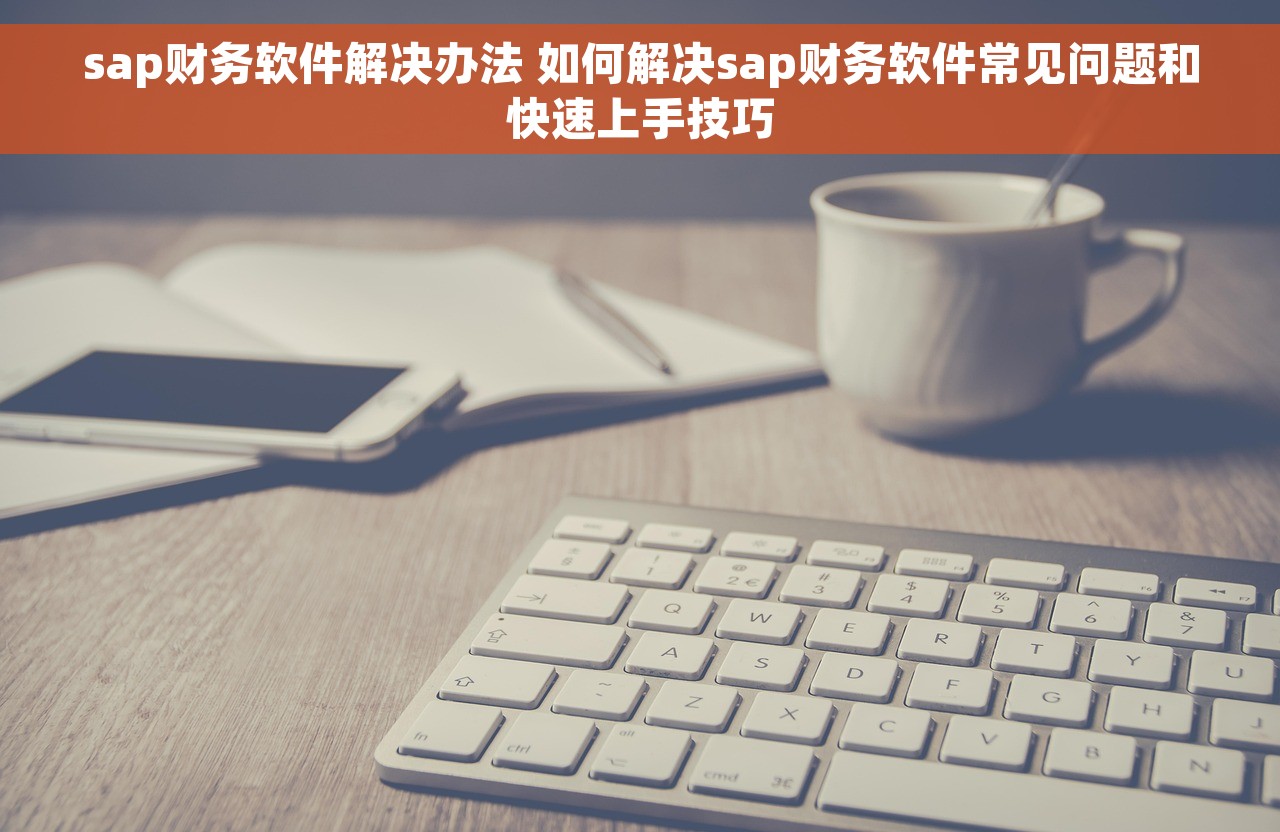 sap财务软件解决办法 如何解决sap财务软件常见问题和快速上手技巧