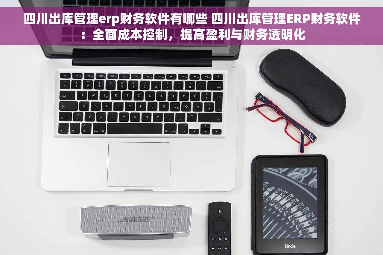 四川出库管理erp财务软件有哪些 四川出库管理ERP财务软件：全面成本控制，提高盈利与财务透明化