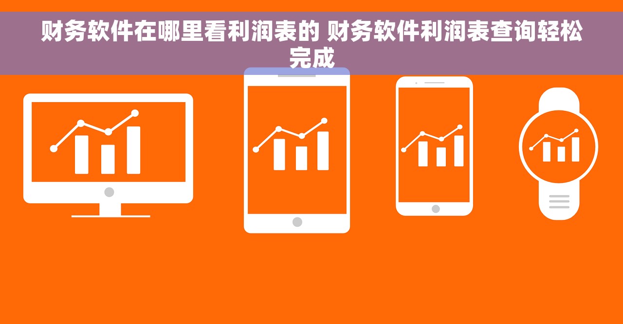 财务软件在哪里看利润表的 财务软件利润表查询轻松完成