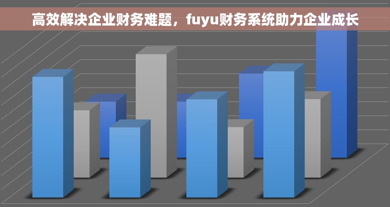 高效解决企业财务难题，fuyu财务系统助力企业成长