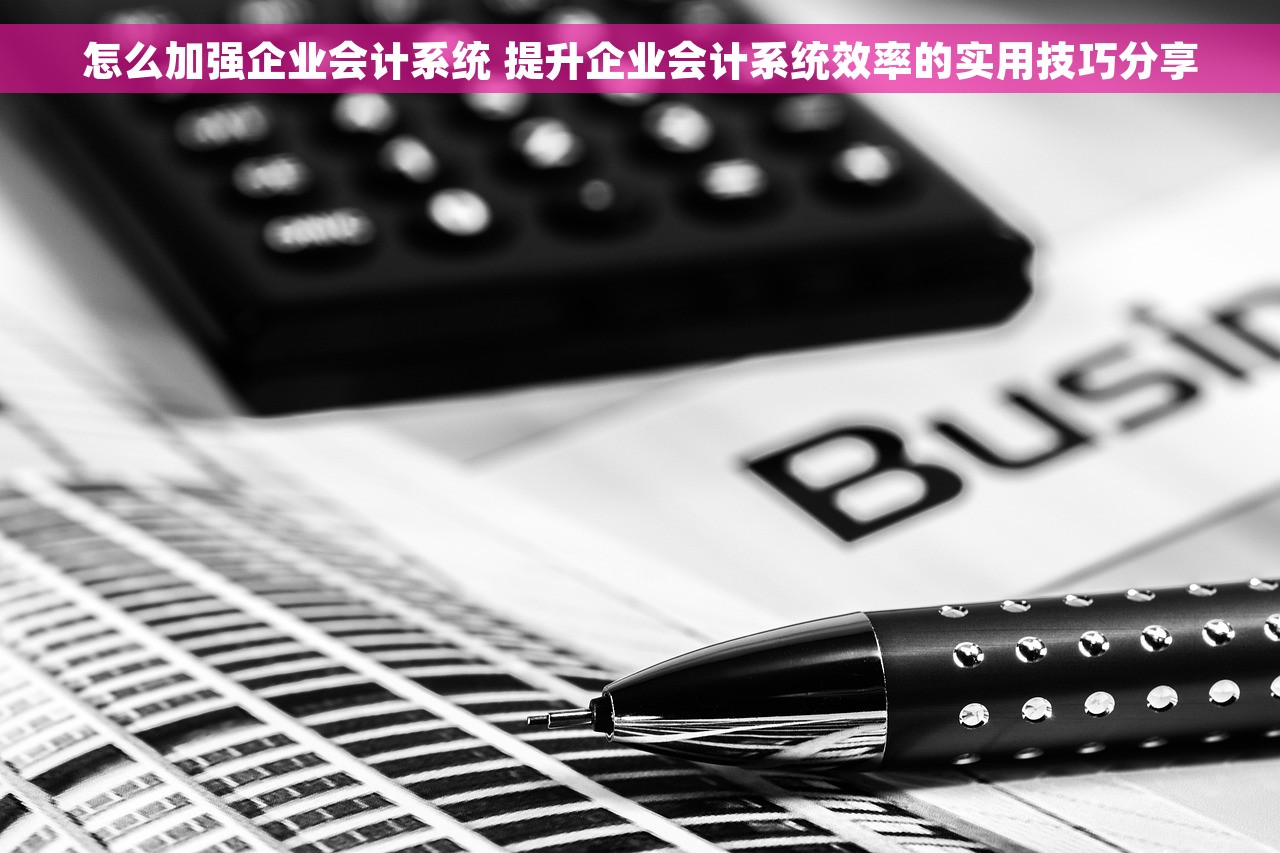 怎么加强企业会计系统 提升企业会计系统效率的实用技巧分享