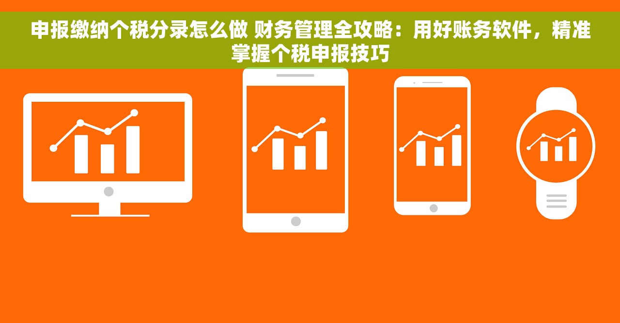 申报缴纳个税分录怎么做 财务管理全攻略：用好账务软件，精准掌握个税申报技巧
