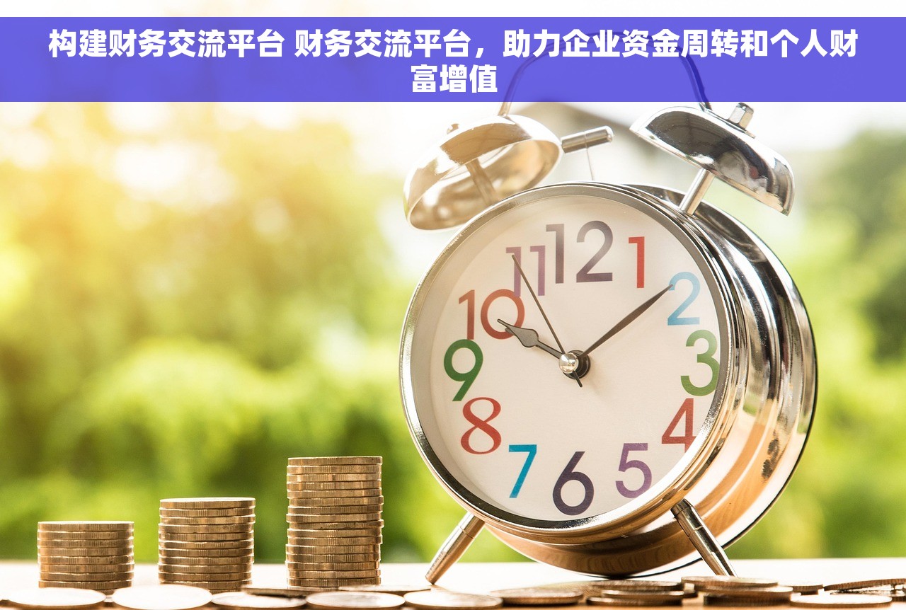 构建财务交流平台 财务交流平台，助力企业资金周转和个人财富增值