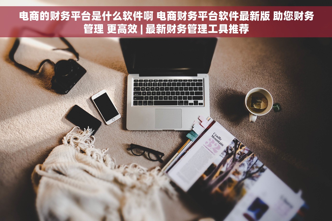 电商的财务平台是什么软件啊 电商财务平台软件最新版 助您财务管理 更高效 | 最新财务管理工具推荐