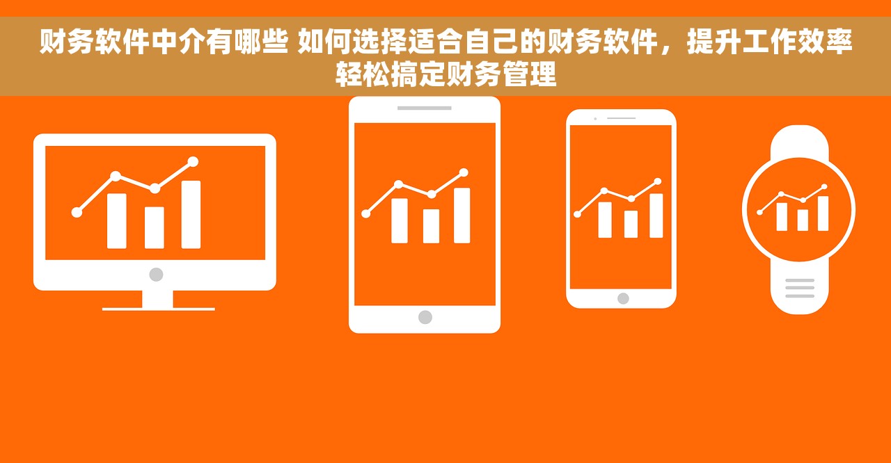 财务软件中介有哪些 如何选择适合自己的财务软件，提升工作效率轻松搞定财务管理