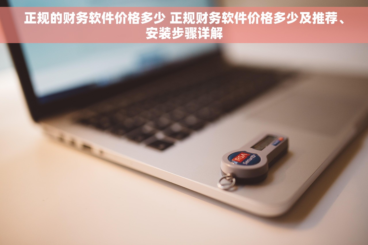 正规的财务软件价格多少 正规财务软件价格多少及推荐、安装步骤详解
