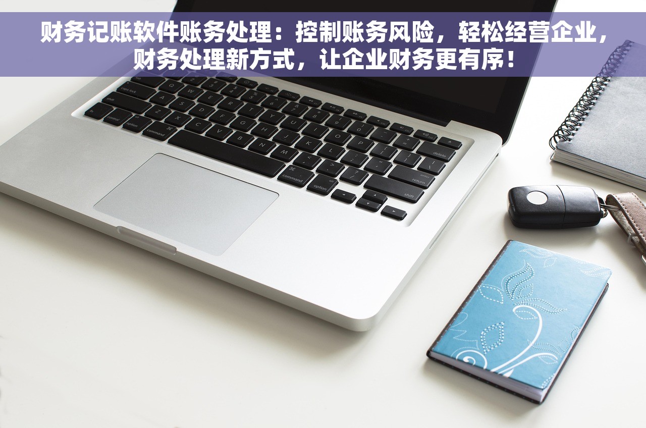 财务记账软件账务处理：控制账务风险，轻松经营企业，财务处理新方式，让企业财务更有序！
