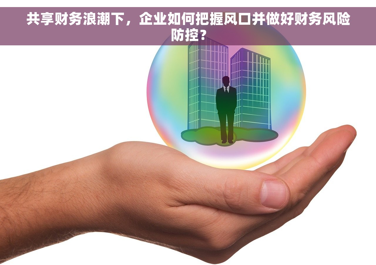 共享财务浪潮下，企业如何把握风口并做好财务风险防控？