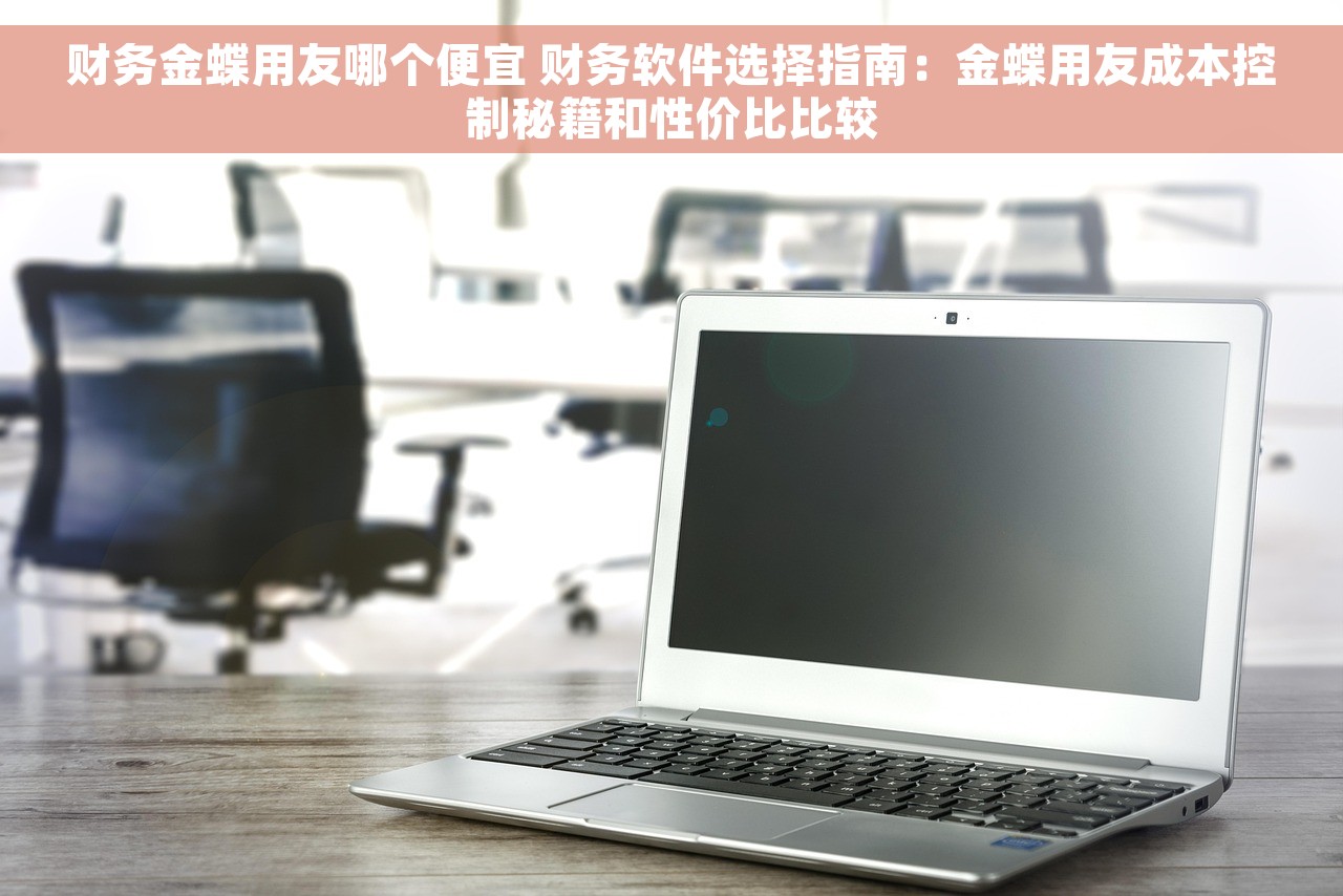 财务金蝶用友哪个便宜 财务软件选择指南：金蝶用友成本控制秘籍和性价比比较