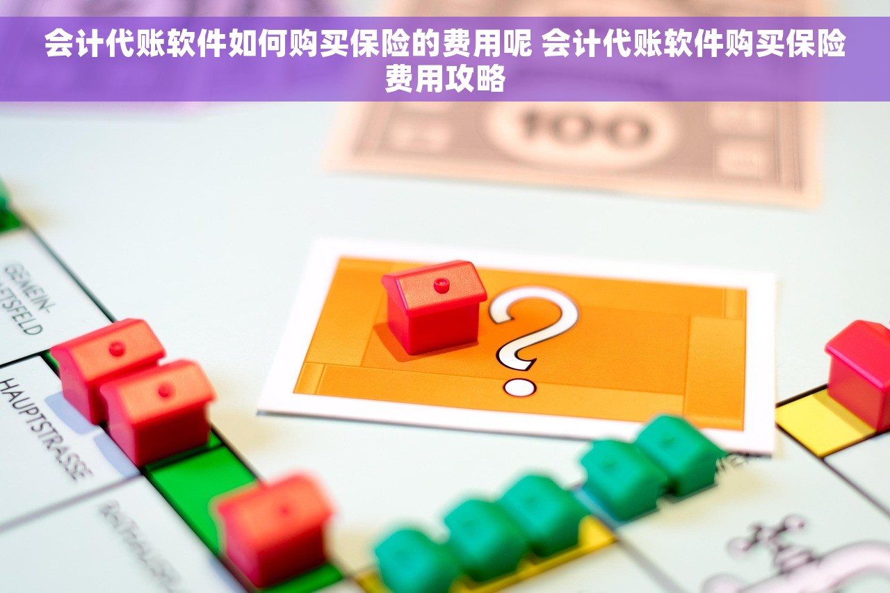 会计代账软件如何购买保险的费用呢 会计代账软件购买保险费用攻略