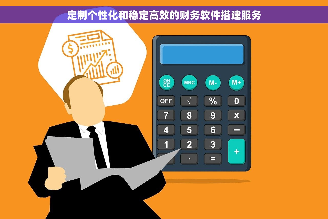 定制个性化和稳定高效的财务软件搭建服务