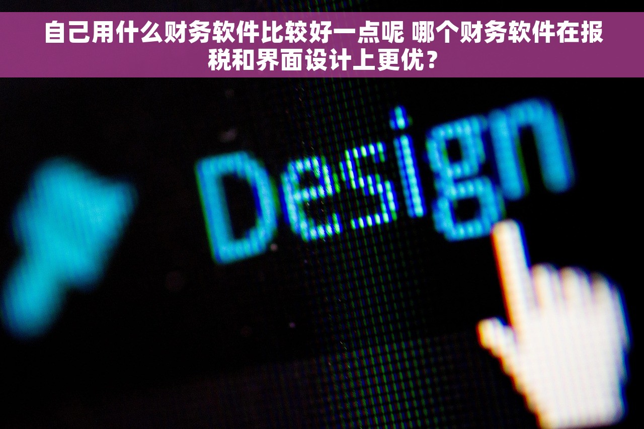 自己用什么财务软件比较好一点呢 哪个财务软件在报税和界面设计上更优？