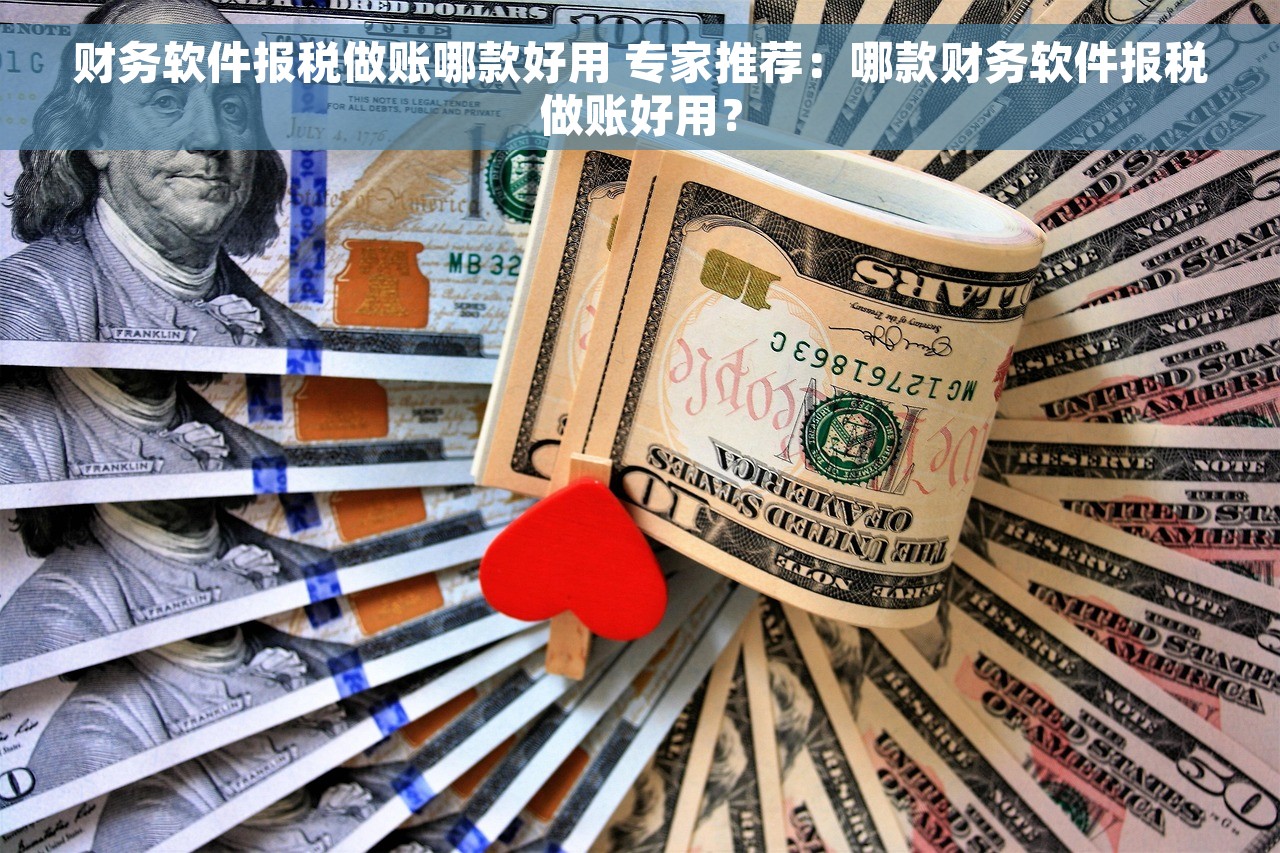 财务软件报税做账哪款好用 专家推荐：哪款财务软件报税做账好用？