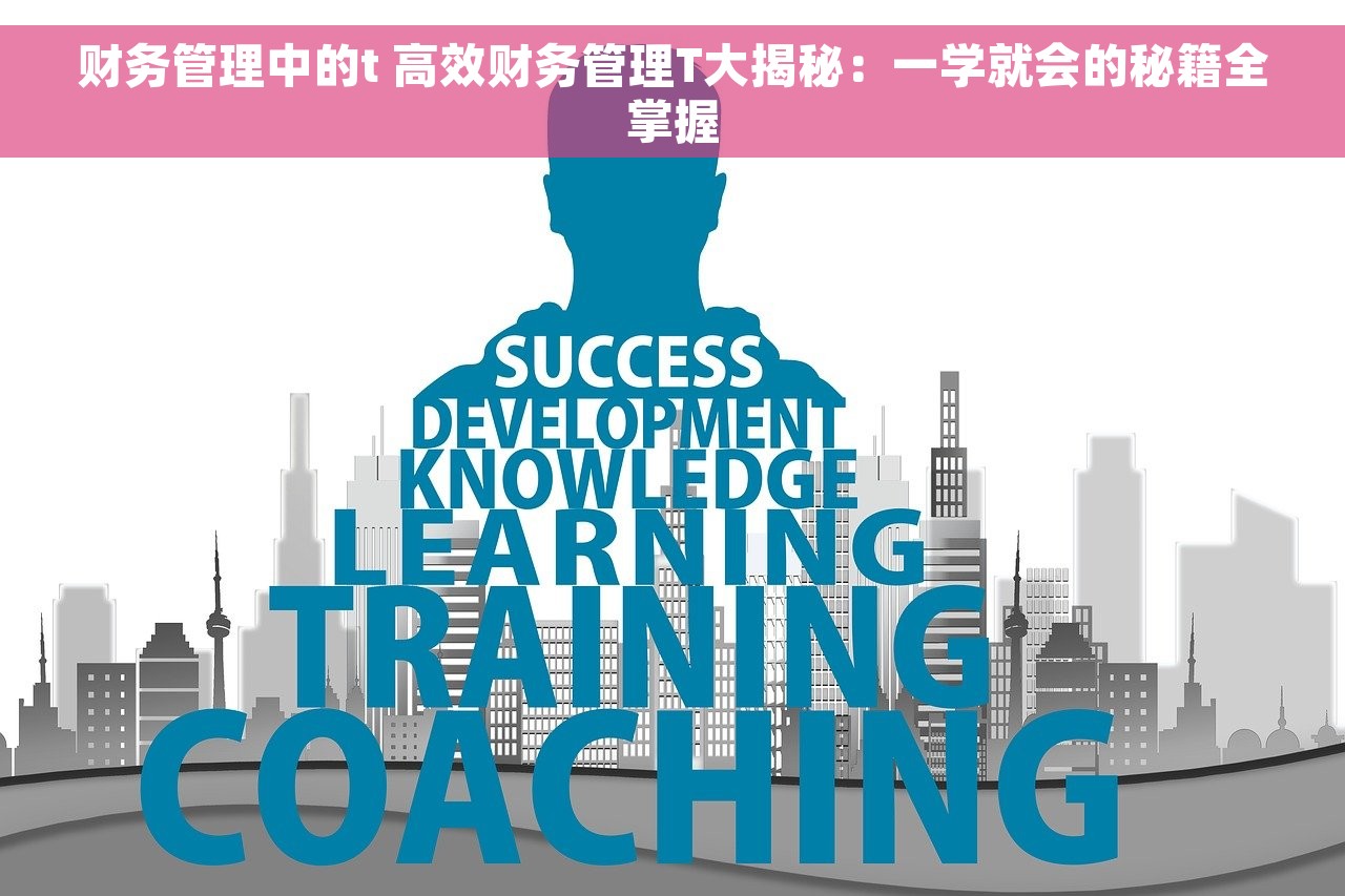 财务管理中的t 高效财务管理T大揭秘:一学就会的秘籍全掌握 财务管理中的t 高效财务管理T大揭秘:一学就会的秘籍全掌握