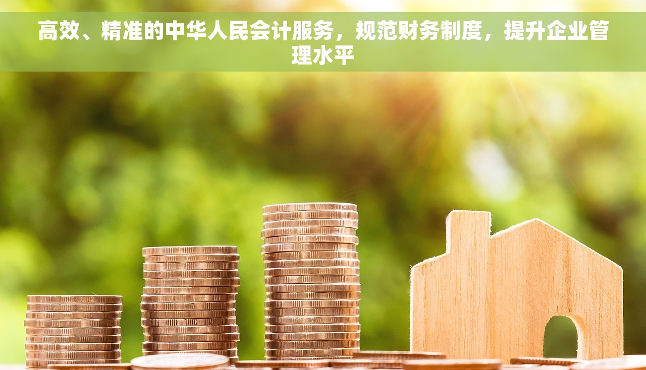 高效、精准的中华人民会计服务，规范财务制度，提升企业管理水平