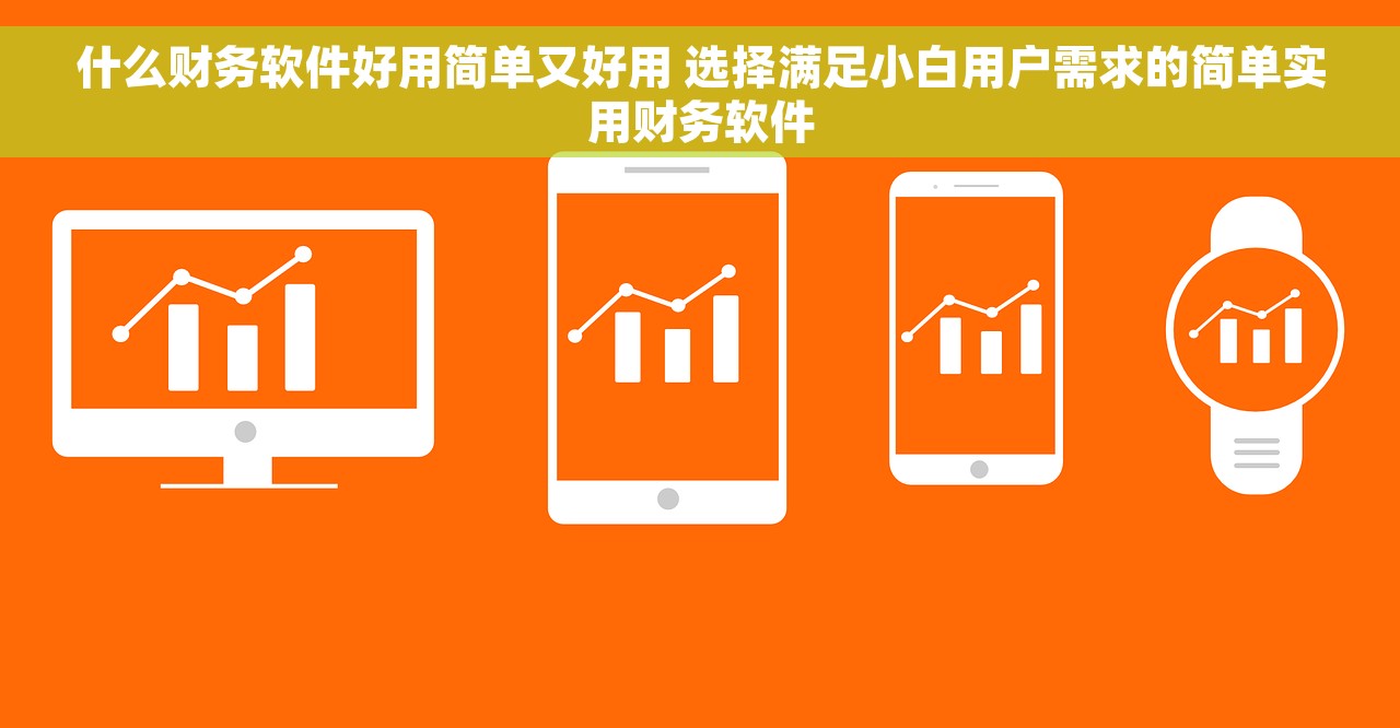 什么财务软件好用简单又好用 选择满足小白用户需求的简单实用财务软件