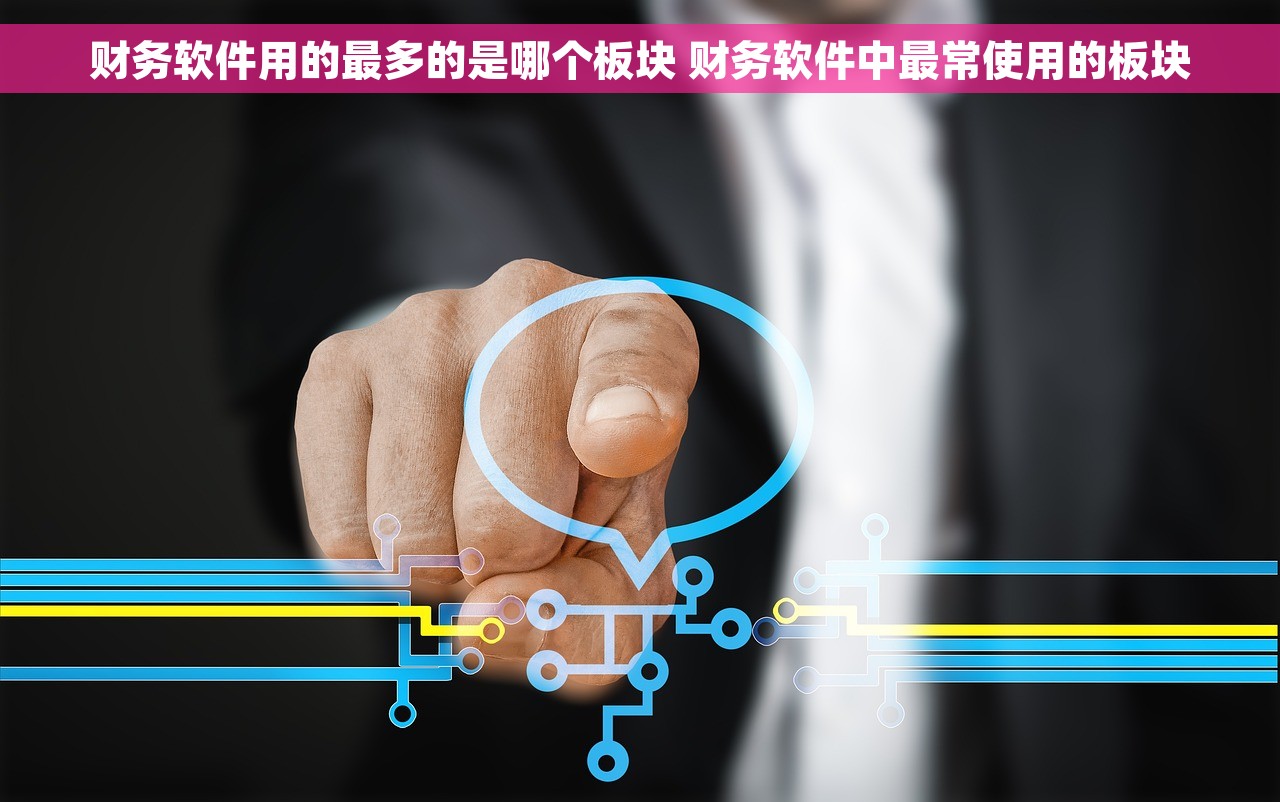 财务软件用的最多的是哪个板块 财务软件中最常使用的板块