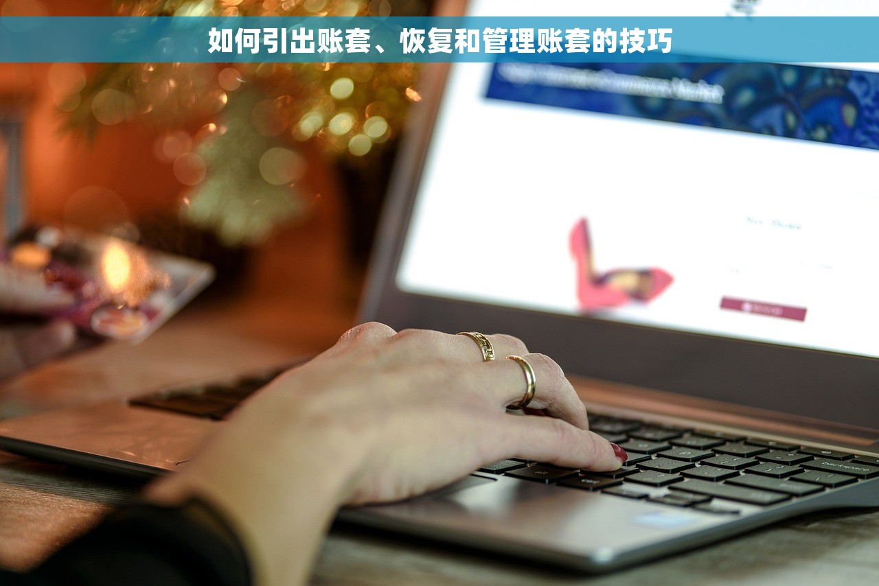 如何引出账套、恢复和管理账套的技巧