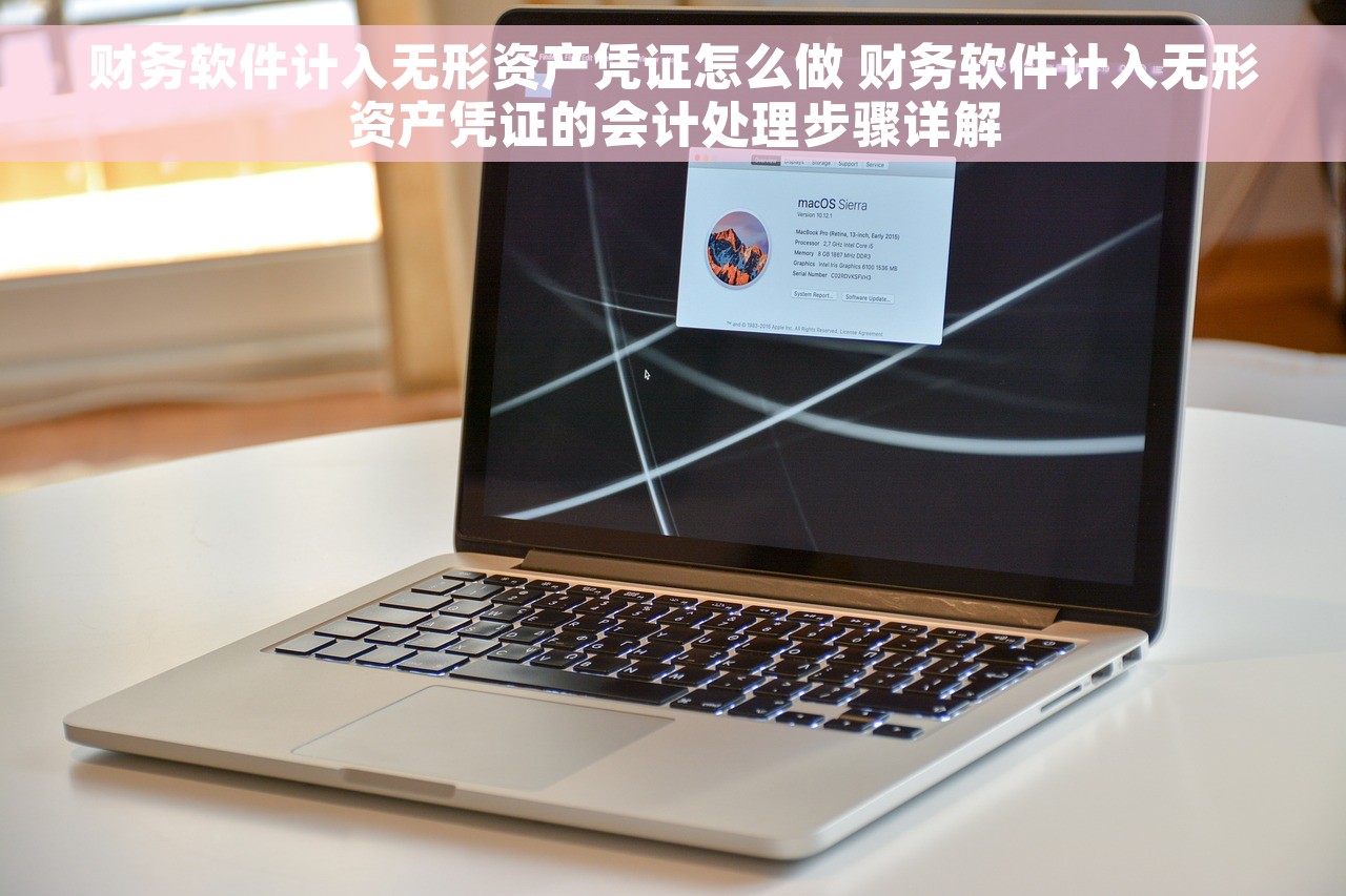 财务软件计入无形资产凭证怎么做 财务软件计入无形资产凭证的会计处理步骤详解