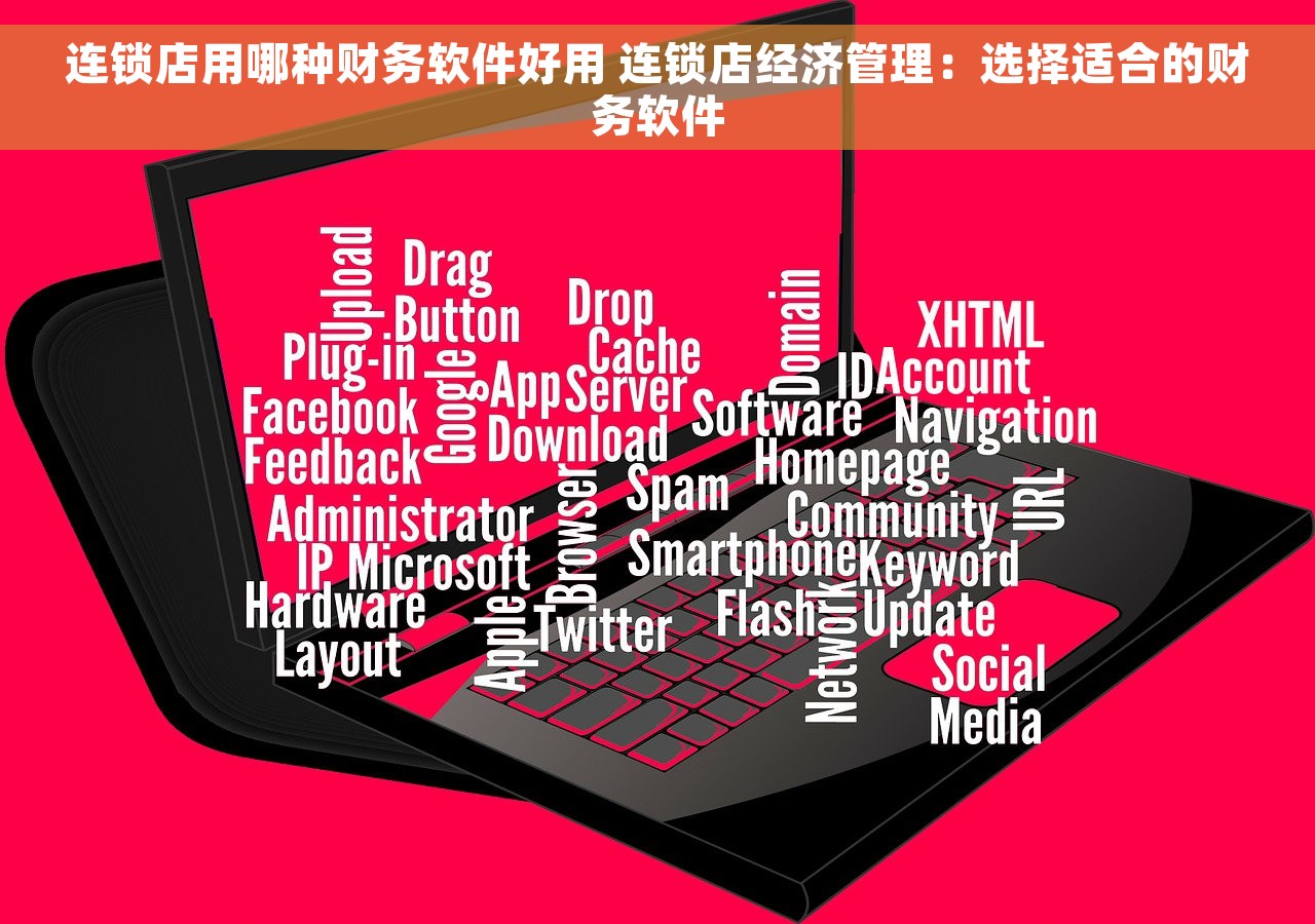 连锁店用哪种财务软件好用 连锁店经济管理：选择适合的财务软件