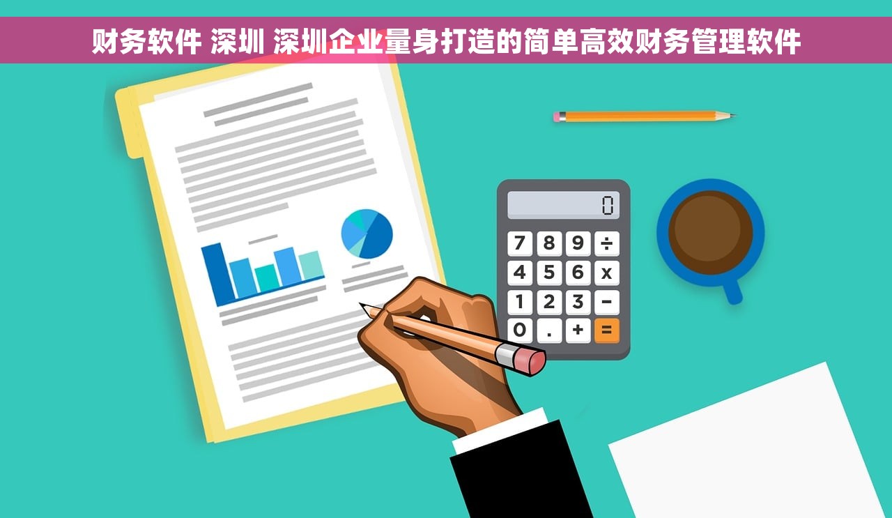 财务软件 深圳 深圳企业量身打造的简单高效财务管理软件
