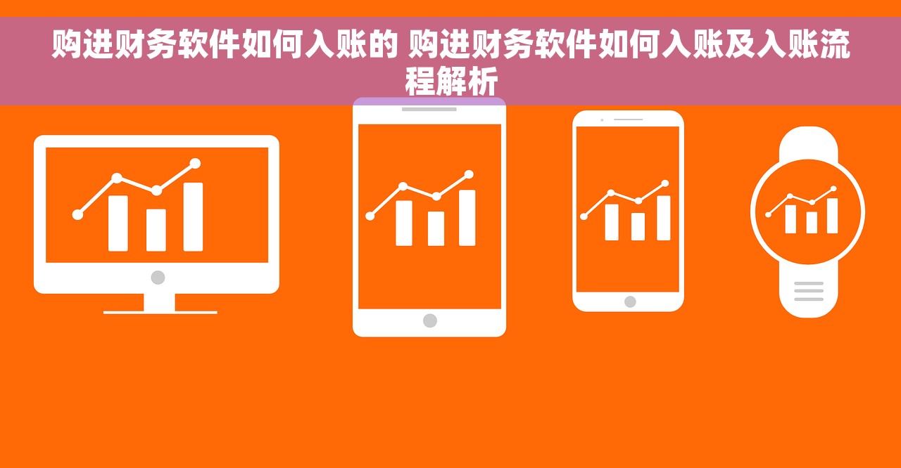 购进财务软件如何入账的 购进财务软件如何入账及入账流程解析