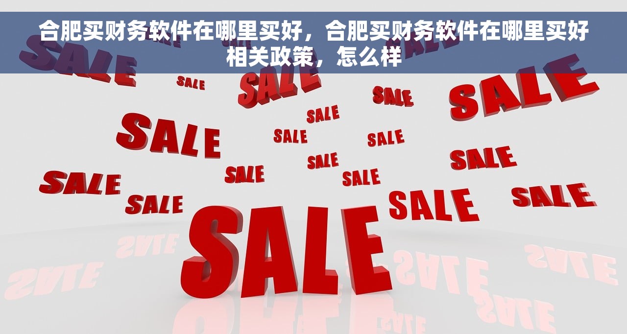 合肥买财务软件在哪里买好，合肥买财务软件在哪里买好相关政策，怎么样
