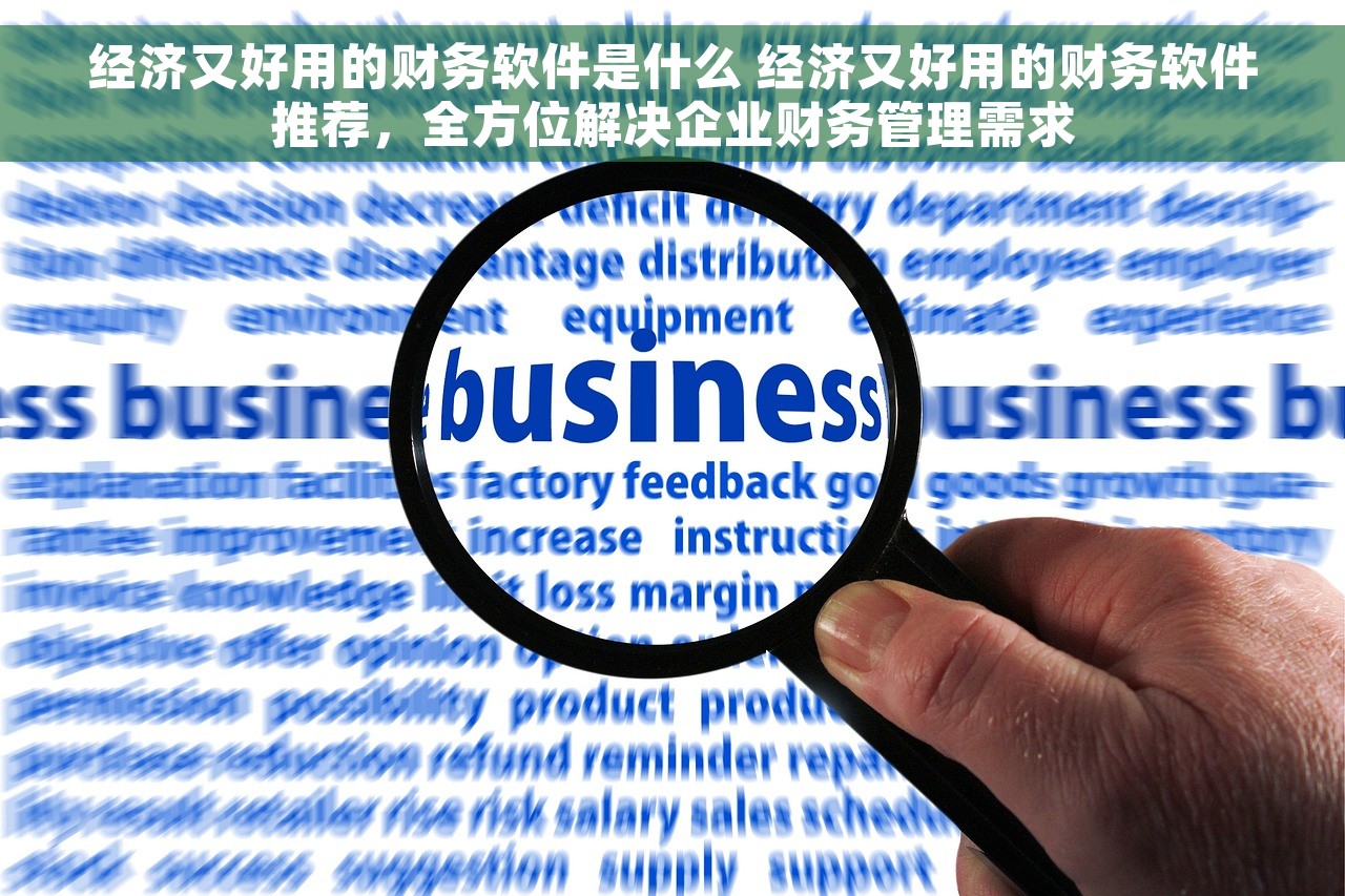 经济又好用的财务软件是什么 经济又好用的财务软件推荐，全方位解决企业财务管理需求