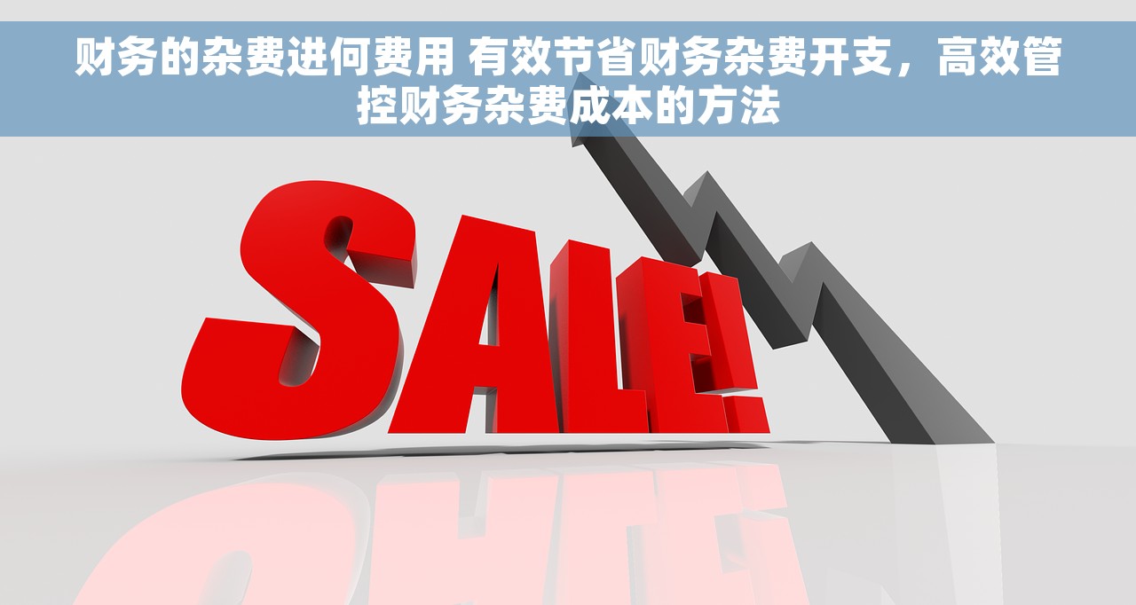 财务的杂费进何费用 有效节省财务杂费开支，高效管控财务杂费成本的方法