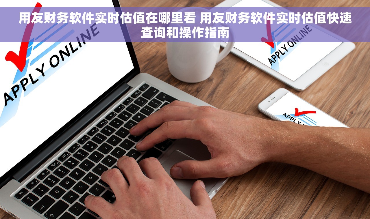 用友财务软件实时估值在哪里看 用友财务软件实时估值快速查询和操作指南