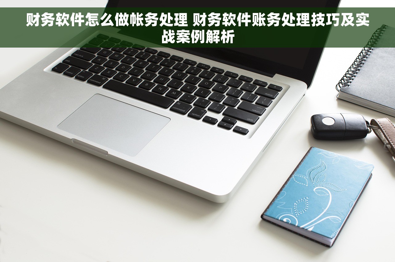 财务软件怎么做帐务处理 财务软件账务处理技巧及实战案例解析 财务软件怎么做帐务处理 财务软件账务处理技巧及实战案例解析