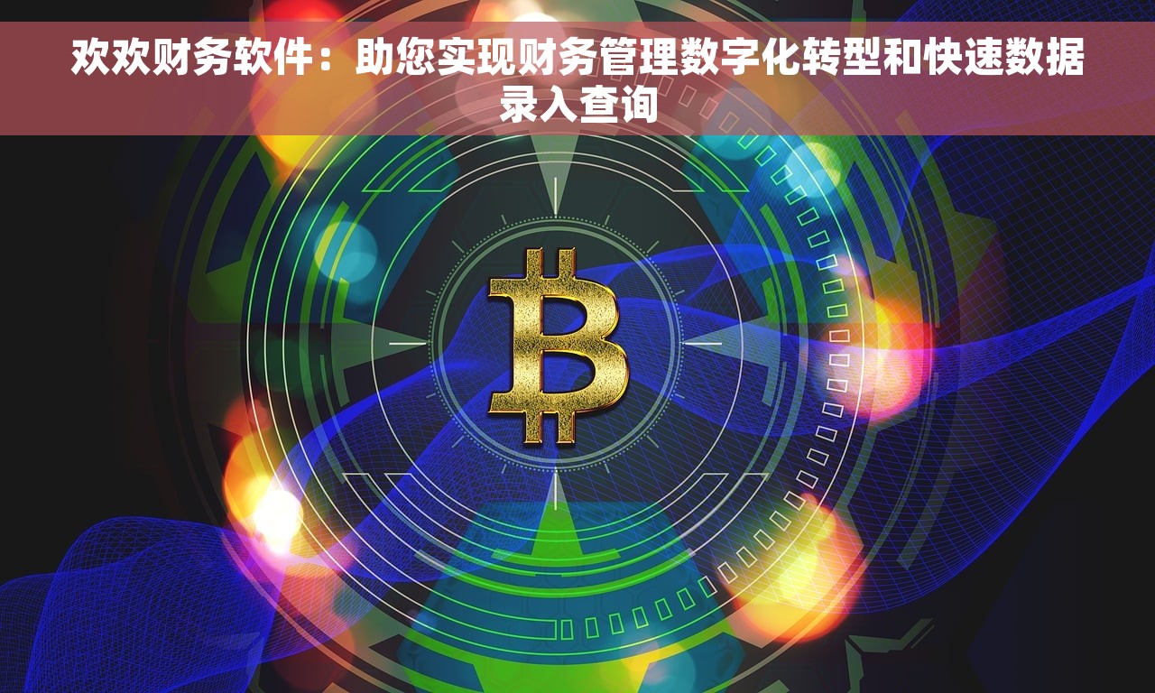 欢欢财务软件：助您实现财务管理数字化转型和快速数据录入查询