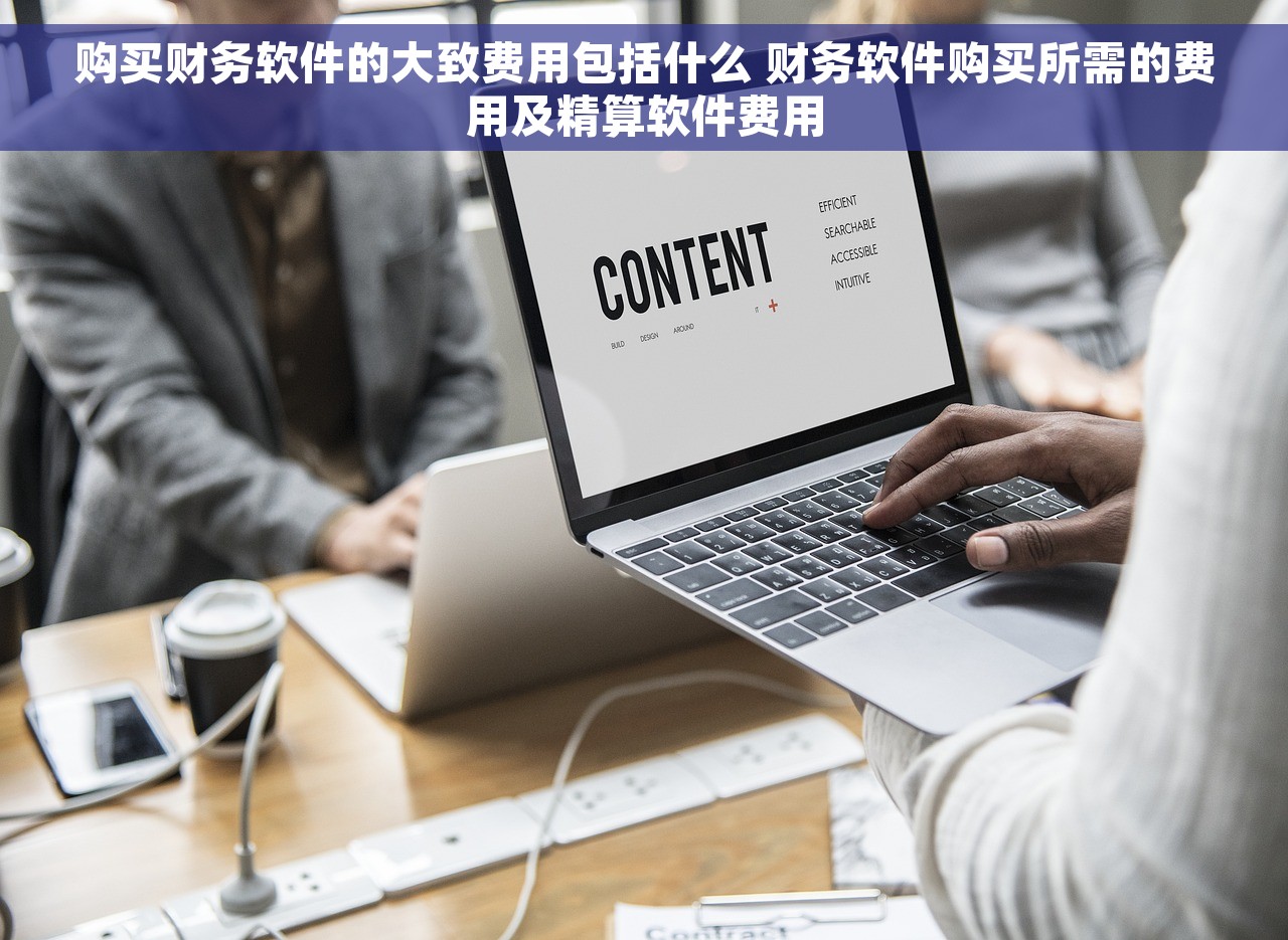 购买财务软件的大致费用包括什么 财务软件购买所需的费用及精算软件费用