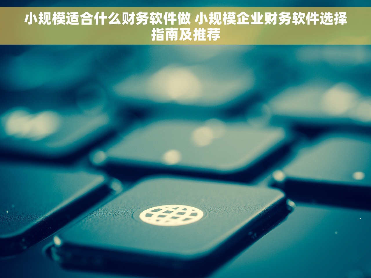 小规模适合什么财务软件做 小规模企业财务软件选择指南及推荐