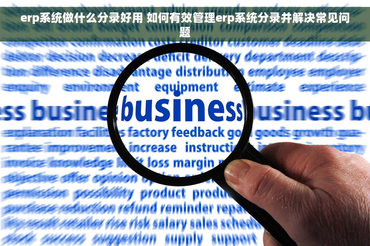 erp系统做什么分录好用 如何有效管理erp系统分录并解决常见问题