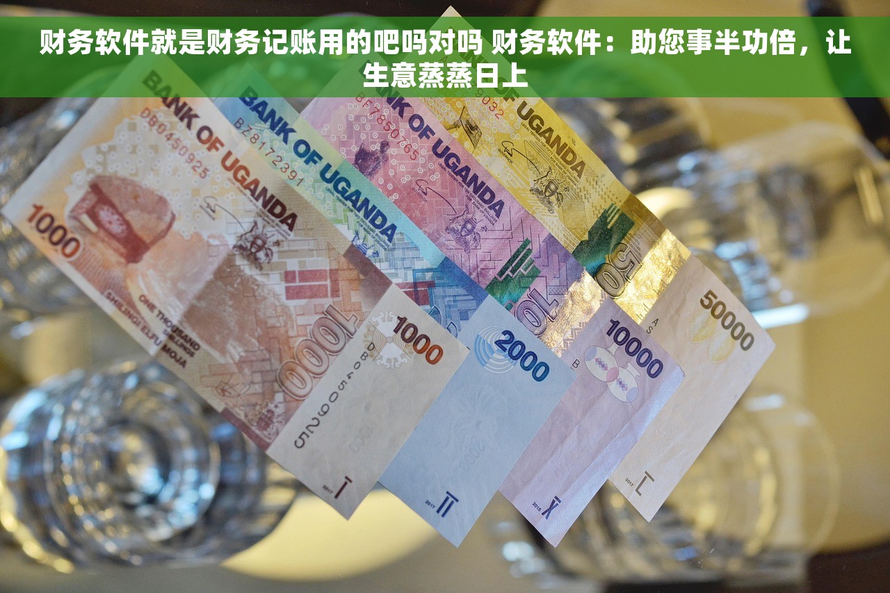 财务软件就是财务记账用的吧吗对吗 财务软件：助您事半功倍，让生意蒸蒸日上