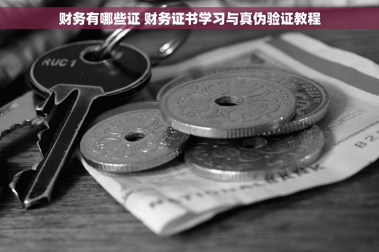 财务有哪些证 财务证书学习与真伪验证教程