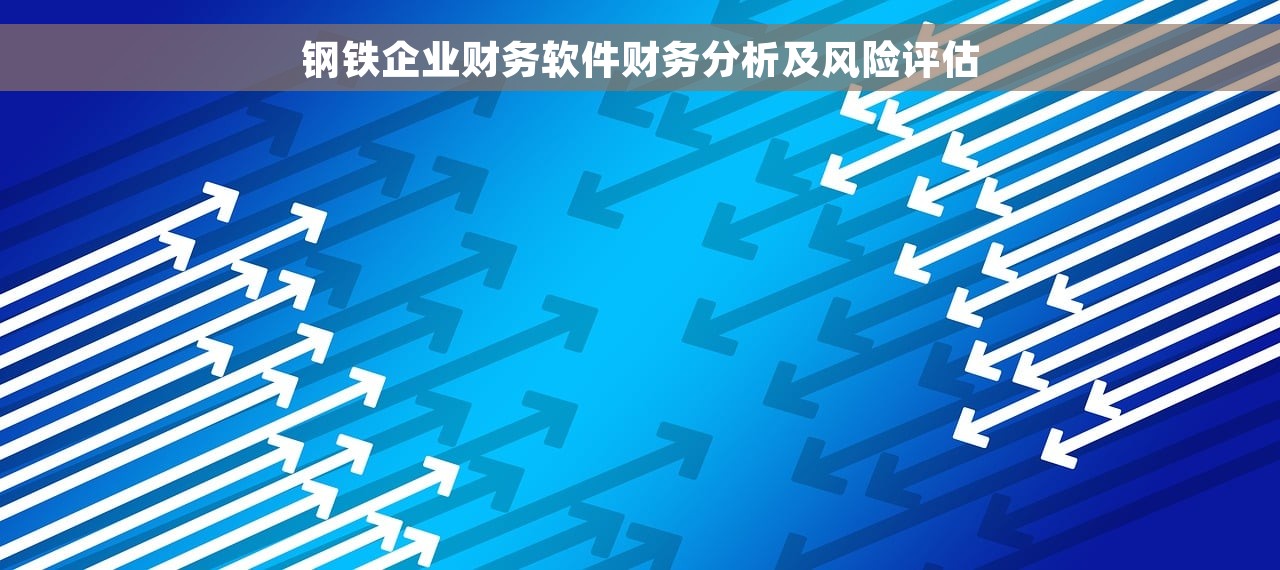 钢铁企业财务软件财务分析及风险评估