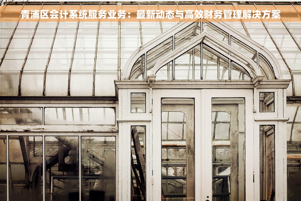 青浦区会计系统服务业务：最新动态与高效财务管理解决方案