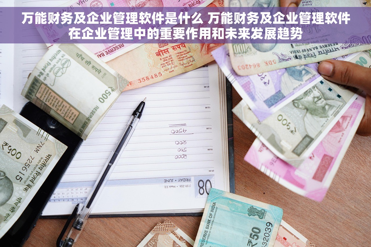 万能财务及企业管理软件是什么 万能财务及企业管理软件在企业管理中的重要作用和未来发展趋势