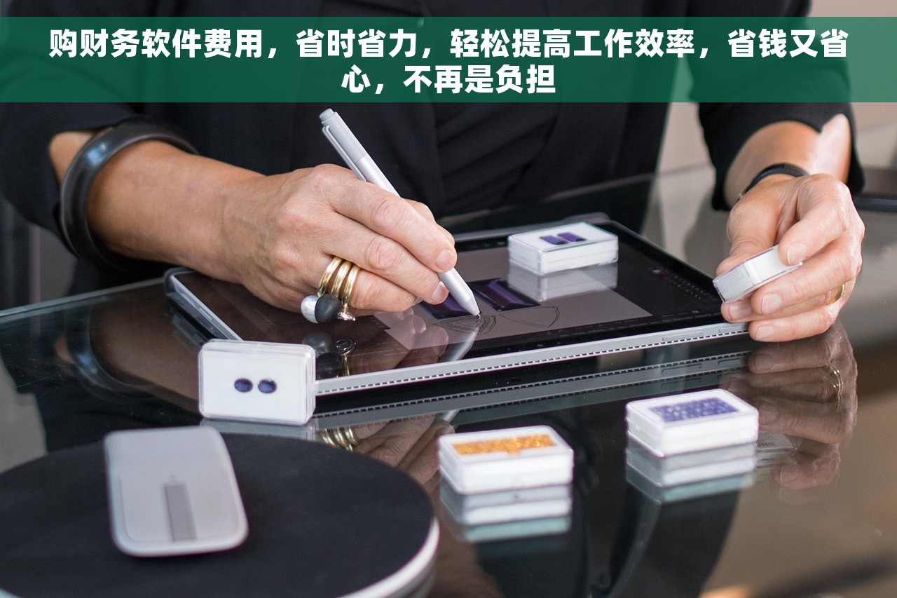 购财务软件费用，省时省力，轻松提高工作效率，省钱又省心，不再是负担
