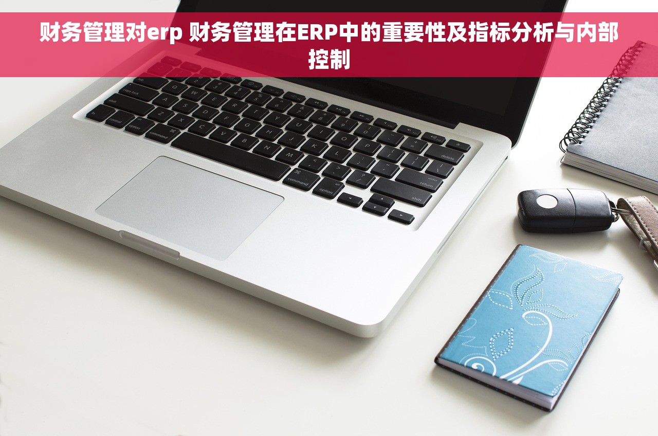 财务管理对erp 财务管理在ERP中的重要性及指标分析与内部控制