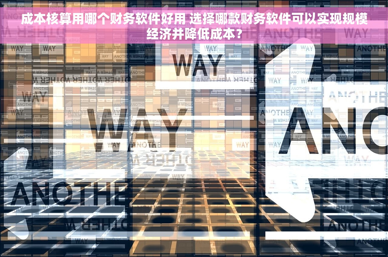 成本核算用哪个财务软件好用 选择哪款财务软件可以实现规模经济并降低成本？